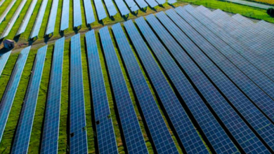 SP busca parceria para montar 1ª “fazenda” público-privada de energia solar da capital