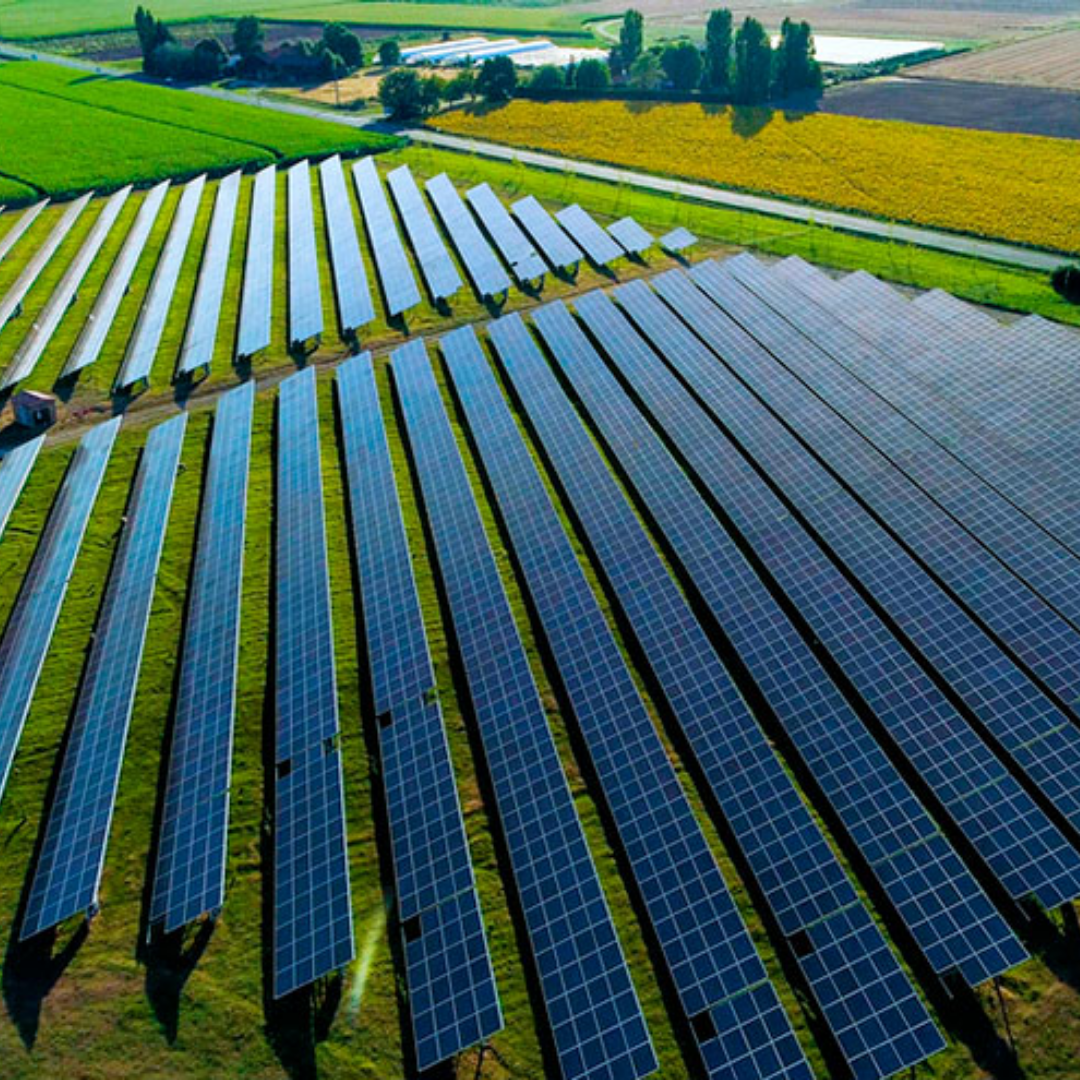 SP busca parceria para montar 1ª “fazenda” público-privada de energia solar da capital