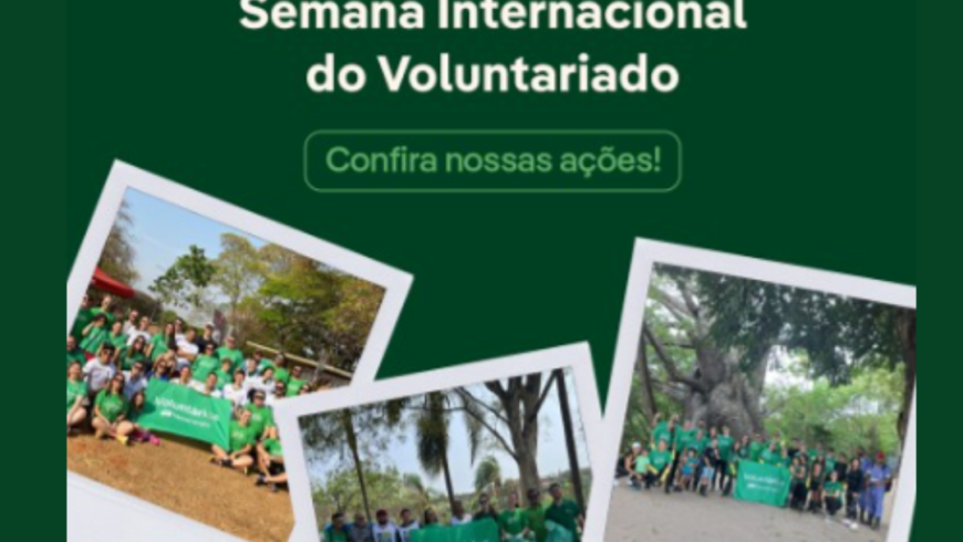 Semana Internacional do Voluntariado da Neoenergia: um exemplo de sucesso e solidariedade