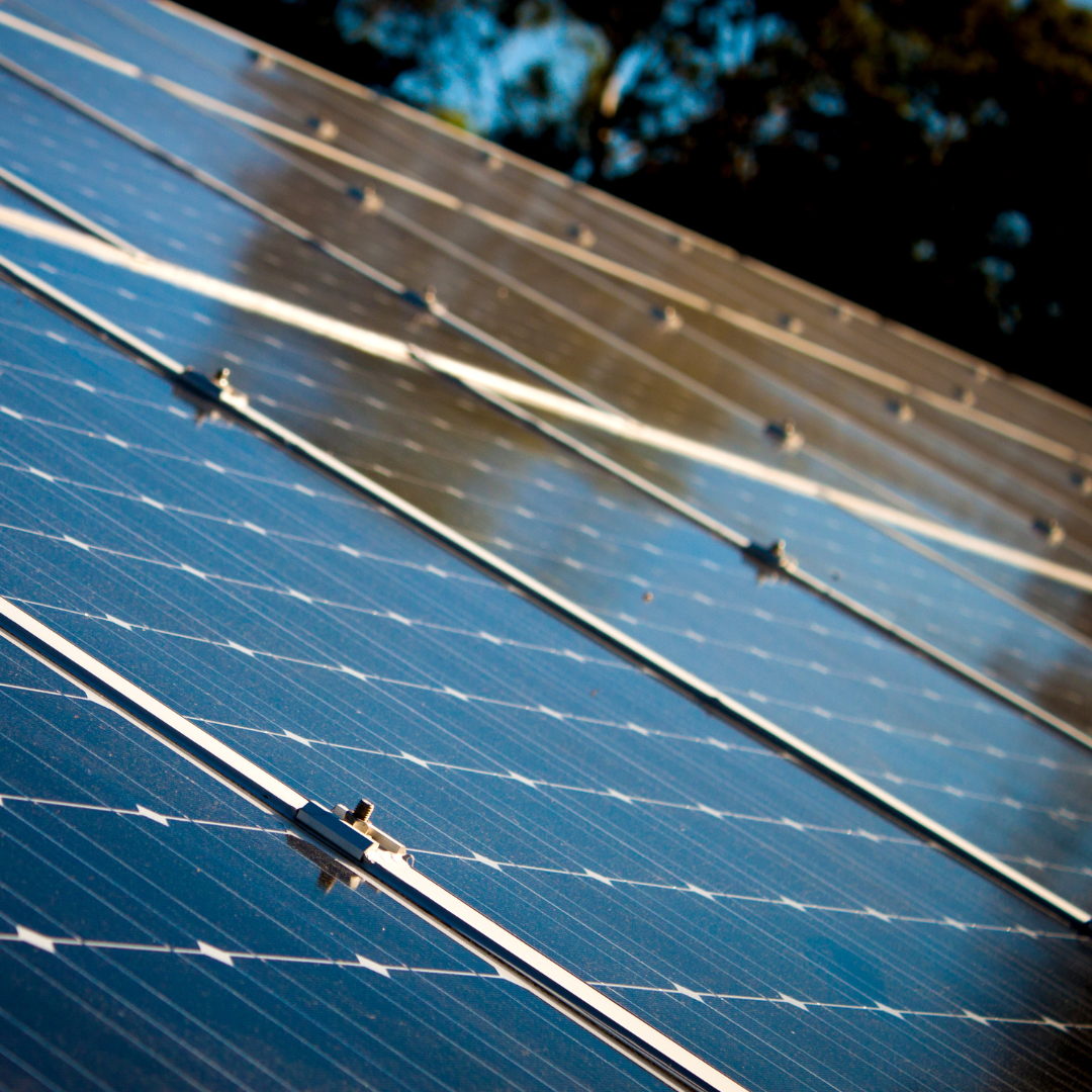 EDP Lança Edital Solar Social: energia renovável gratuita para Organizações da Sociedade Civil