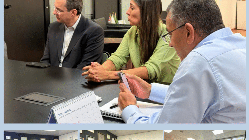 SindiEnergia e distribuidoras de energia discutem projetos de lei com a Vice-Presidência da ALESP