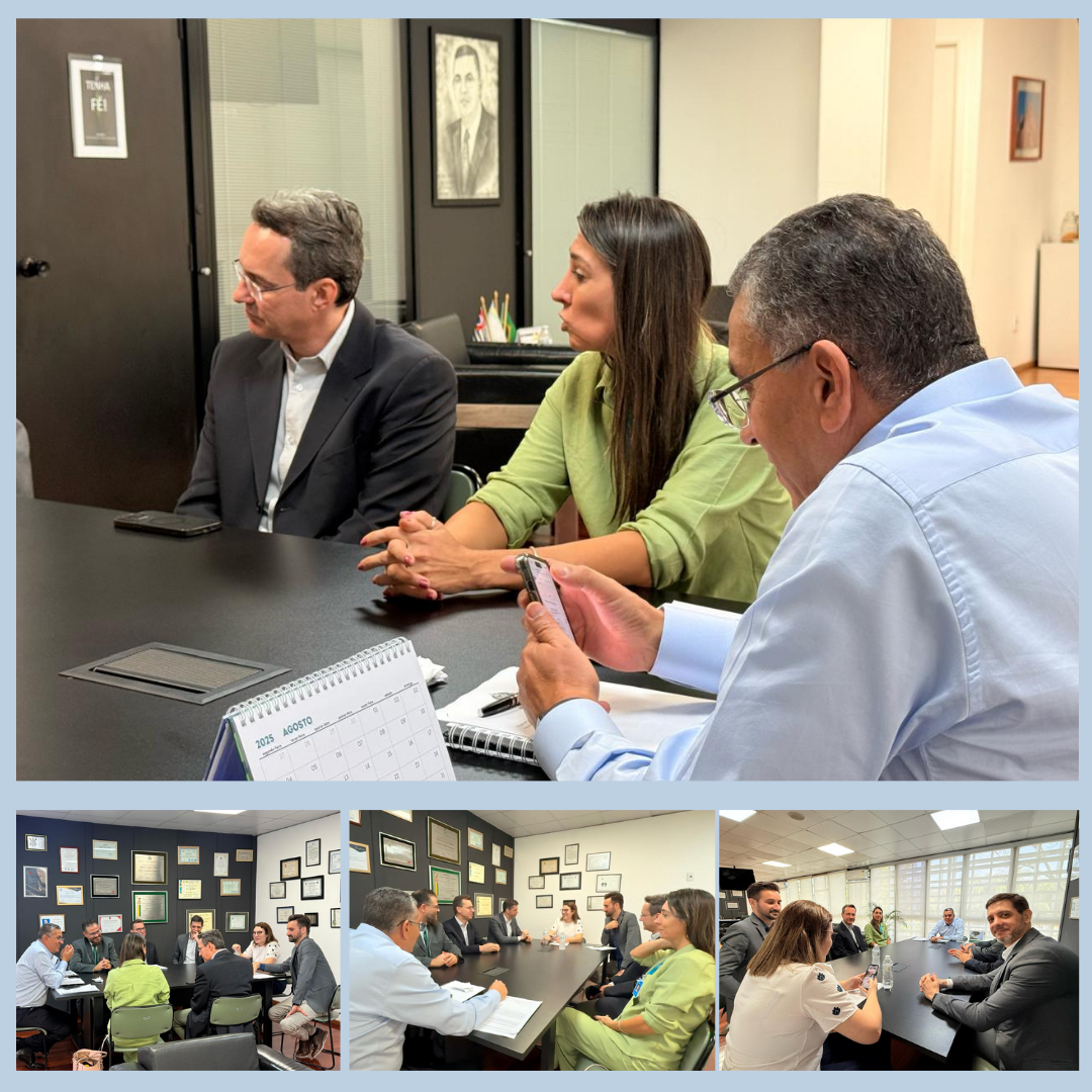 SindiEnergia e distribuidoras de energia discutem projetos de lei com a Vice-Presidência da ALESP