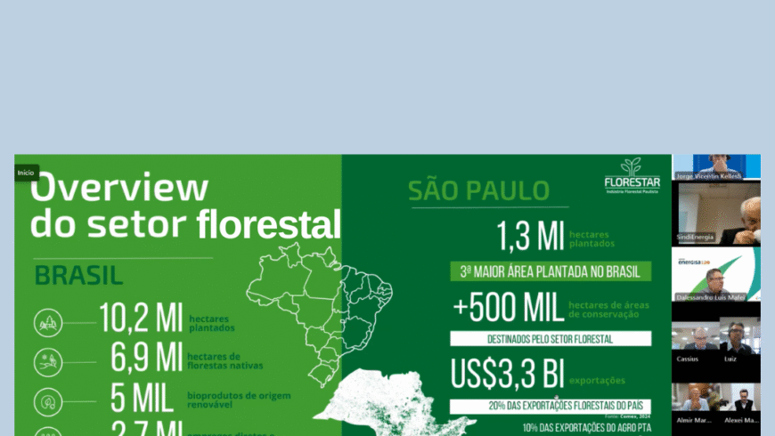 SindiEnergia promove diálogo entre distribuidoras de energia e setor florestal sobre prevenção de incêndios