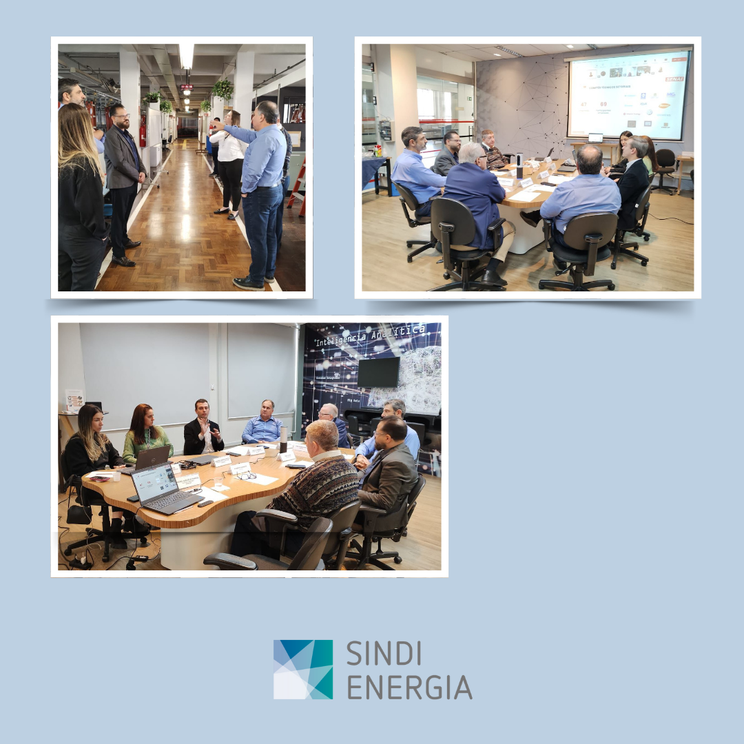 SindiEnergia participou do Conselho Consultivo Setorial do SENAI