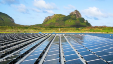 Neoenergia é reconhecida globalmente por evolução em sustentabilidade