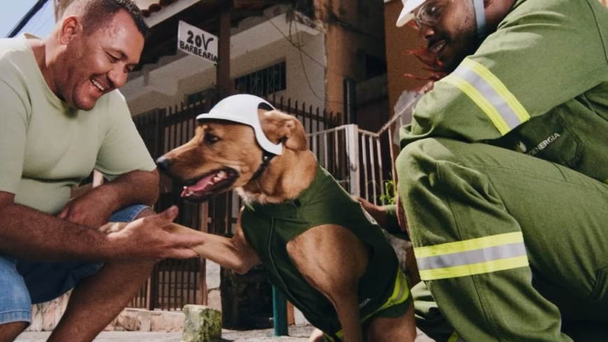 Neoenergia e Cão Max reforçam segurança na rede elétrica em nova campanha