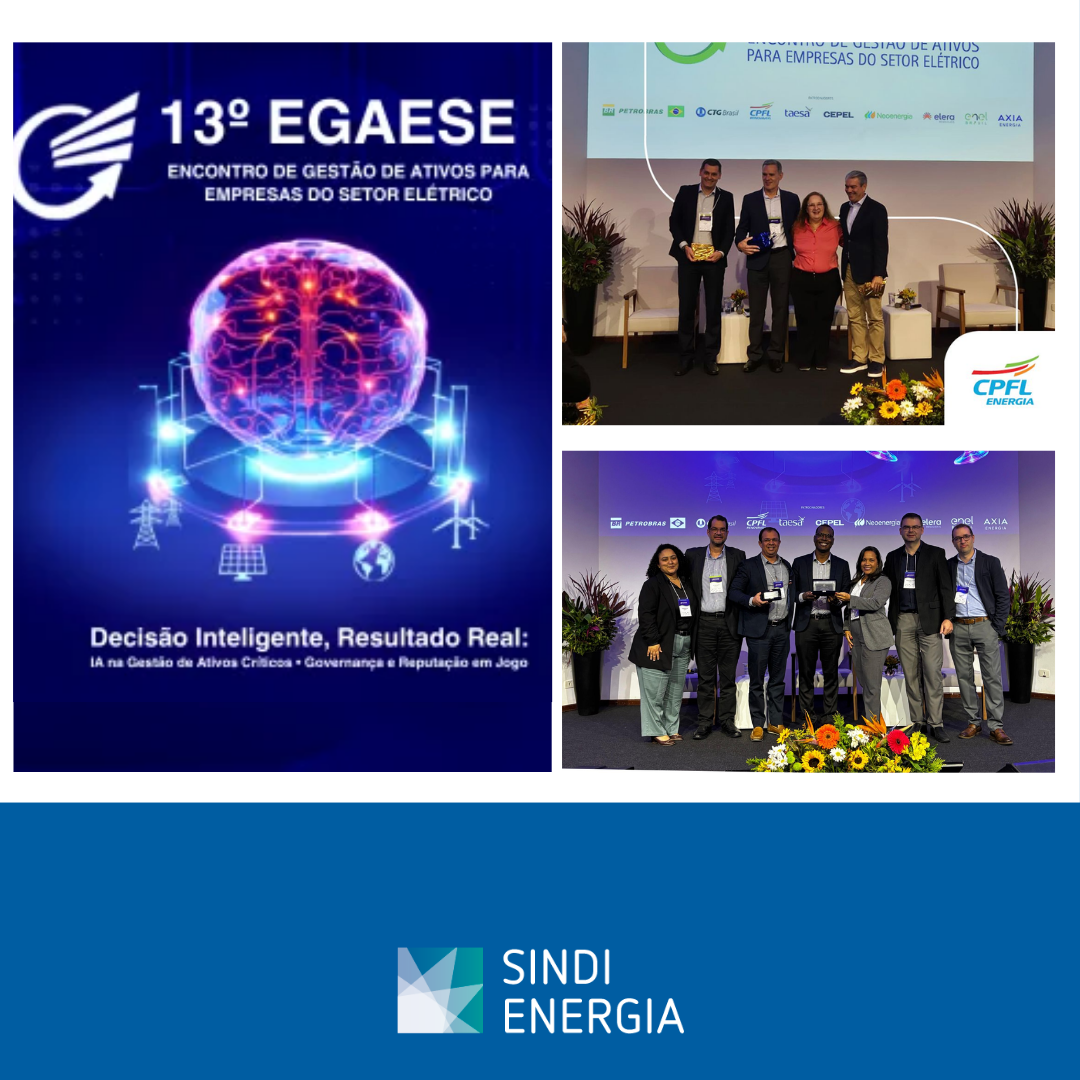 CPFL Energia e Neoenergia conquistam reconhecimentos no 13º EGAESE